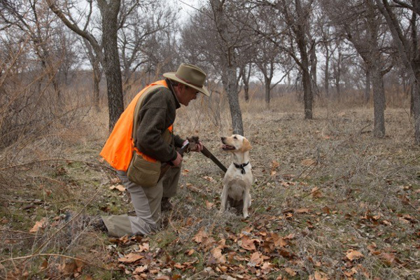 man and hunting dog out in the forest in the fall season man is wearing an orange vest and a bolo hat while he kneels down, holding a shotgun and facing his dog